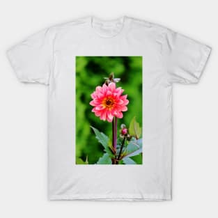 A Pink Flower T-Shirt